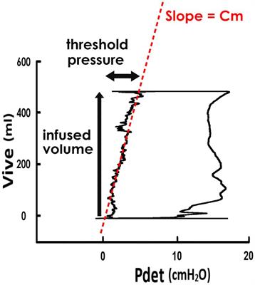 Effect of intra-vaginal electric stimulation on bladder compliance in stress urinary incontinence patients: the involvement of autonomic tone